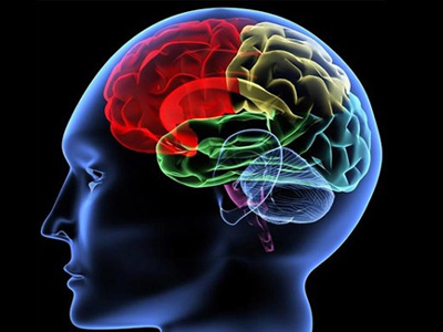 Οι ψυχοπαθείς εγκληματίες έχουν διαφορετικό εγκέφαλο