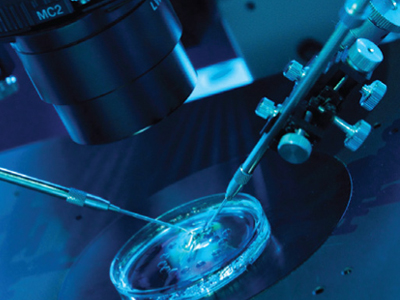 Η εξωσωματική γονιμοποίηση υπεύθυνη για γενετικές ανωμαλίες