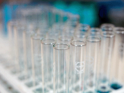 Γονιμότητα: Νέα μέθοδος εντοπισμού των «καλών» ωαρίων