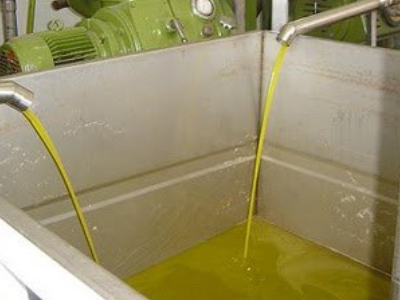 Καταστροφικός ο παγετός για το ελαιόλαδο