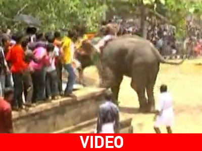 Ελέφαντας «ξεσάλωσε» σε φεστιβάλ της Ταϊλάνδης Ελέφαντας «ξεσάλωσε» σε φεστιβάλ της Ταϊλάνδης