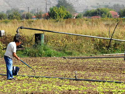 Αποζημιώσεις σε αγρότες από τον ΕΛΓΑ