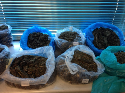 Θεσσαλονίκη: Συλλήψεις για εμπορία ναρκωτικών