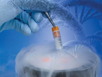 Γονιμότητα: Επιλέγοντας τα καλύτερα έμβρυα στην εξωσωματική γονιμοποίηση