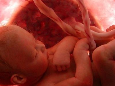 Τα έμβρυα ακούν και ξεχωρίζουν τη γυναικεία και την ανδρική φωνή Τα έμβρυα ακούν και ξεχωρίζουν τη γυναικεία και την ανδρική φωνή