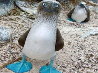 Ποιοι είναι οι «εναλλακτικοί»