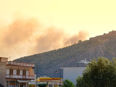 Ελασσόνα: Στάχτη 100 στρέμματα δασικής έκτασης