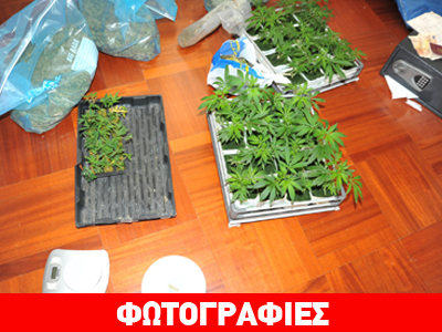 Βρέθηκε εργαστήριο υδροπονικής καλλιέργειας κάνναβης σε σπίτι στο Π. Φάληρο