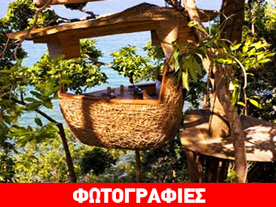 Εστιατόριο πάνω σε δέντρα!