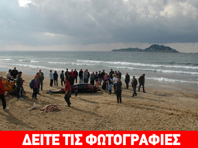 Μαζικοί εκβρασμοί φαλαινών στην Κέρκυρα