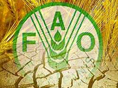 Προειδοποιήσεις FAO για τις τιμές των τροφίμων
