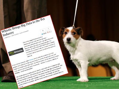 Εφαρμογή στο κινητό για τη δραστηριότητα των κατοικίδιων