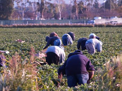 Ξεκινά η επιστροφή του ΕΦΚ πετρελαίου στους αγρότες