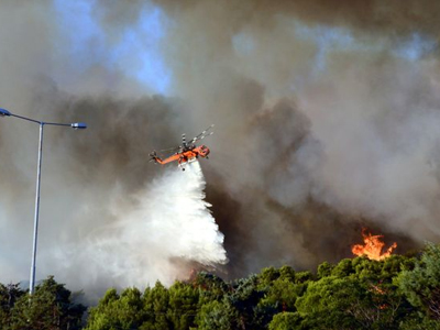 Βοιωτία: Στις πυρόπληκτες περιοχές κλιμάκιο του ΕΛΓΑ