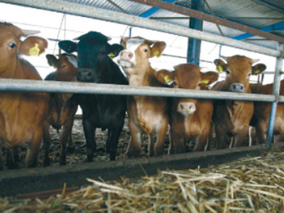 Η Ρωσία «φρενάρει» τις εισαγωγές από τη Λιθουανία