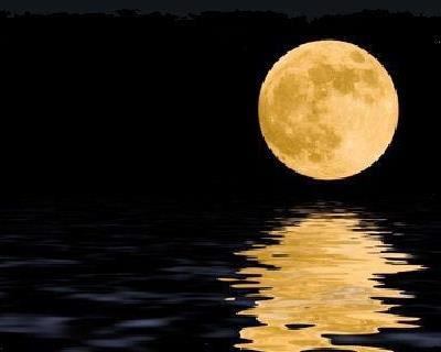 Μάλια: Συναυλία για την αυγουστιάτικη πανσέληνο Μάλια: Συναυλία για την αυγουστιάτικη πανσέληνο