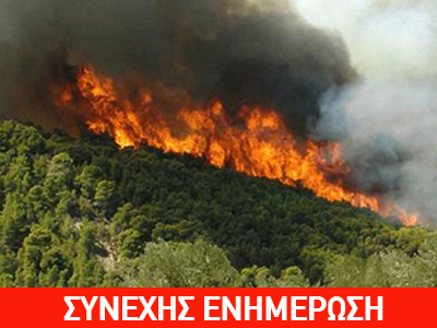 Πυρκαγιά στη Μεσσηνία