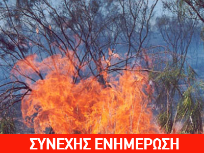 Σε εξέλιξη πυρκαγιά στην Αρχαία Ολυμπία