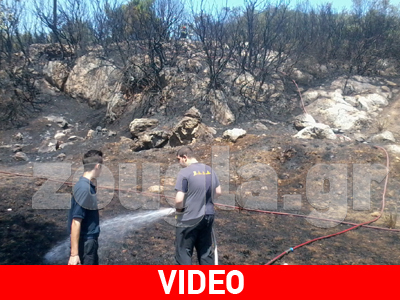 Yπο έλεγχο η πυρκαγιά στο Καπανδρίτι