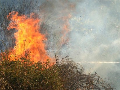 Κατασβήστηκε η πυρκαγιά στο χωριό Μάραθος