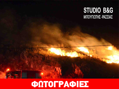 Πυρκαγιά απείλησε σπίτια στο Ναύπλιο