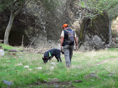 Γέμισαν με φόλες τα βουνά της Κρήτης