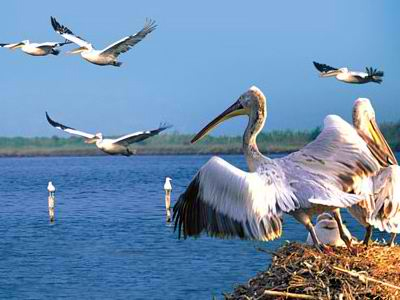 Θέσεις εργασίας στον Φορέα Διαχείρισης Υγροτόπων Αμβρακικού