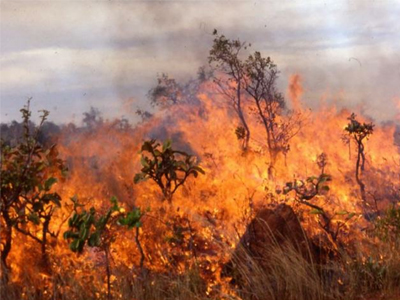 Πυρκαγιά στις Στέρνες Χανίων