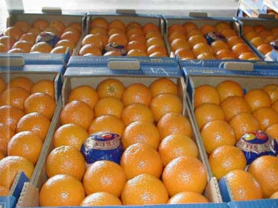 Φρένο στις εξαγωγές φρούτων και λαχανικών