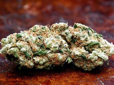 Συνελήφθησαν δύο νεαροί για εμπορία ναρκωτικών