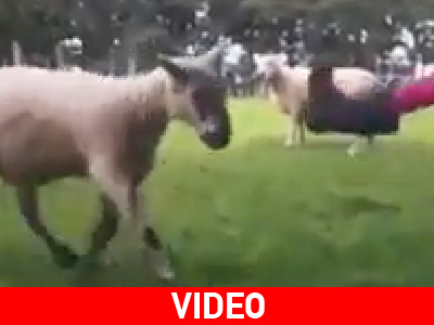 Όταν η φύση εκδικείται