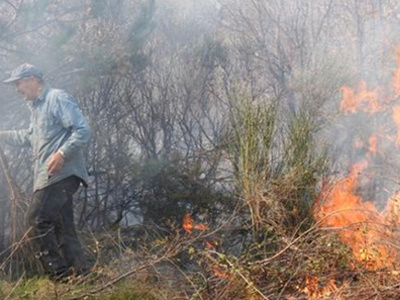 Σε ύφεση η φωτιά στα Τρίκαλα Κορινθίας