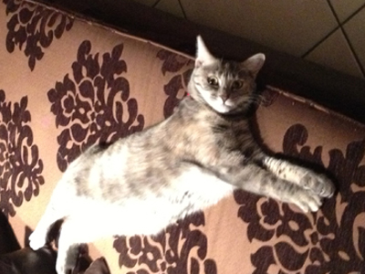 Χάθηκε στην Άνω Νέα Σμύρνη