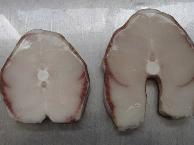 Κατασχέθηκαν 4,3 τόνοι γαλέου με υδράργυρο