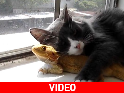 Ο έρωτας είναι τυφλός!