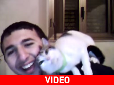 Αυτή η γάτα αγαπά πολύ το αφεντικό της…