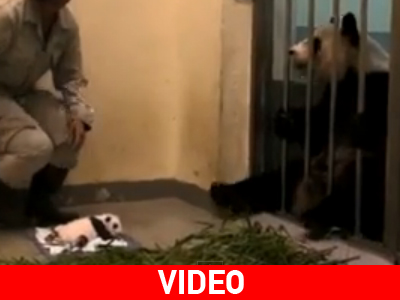 Επέστρεψε στην αγκαλιά της μητέρας του Επέστρεψε στην αγκαλιά της μητέρας του