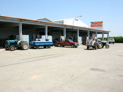 Ένοπλη ληστεία στον ΑΣΕΠΟΠ Νάουσας