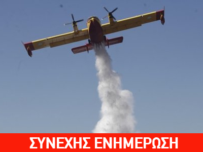 Τώρα: Πυρκαγιά στον Πλατανιά Πηλίου