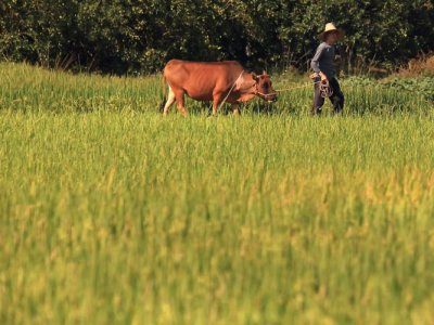 Κινητοποιήσεις αγροτών στην Κροατία