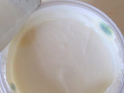 Μούχλα σε γιαούρτι Μούχλα σε γιαούρτι