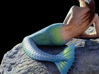 Η γοργόνα της προεκλογικής περιόδου