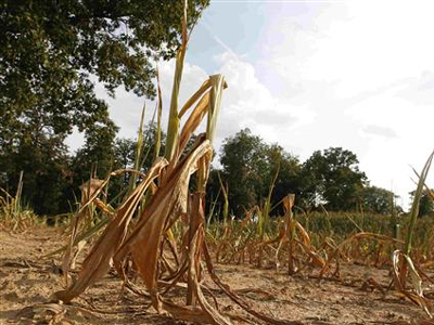 ΗΠΑ: Ο πιο ζεστός Ιούλιος από το 1895