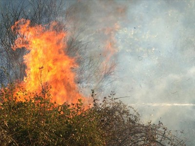 Χαλκιδική: Αποτεφρώθηκαν 30 στρέμματα δασικής έκτασης και καλλιεργειών