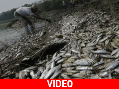 Τοξική διαρροή σε ποτάμι της κεντρικής Κίνας