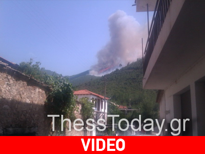 Ο περιφερειάρχης ΑΜ-Θ για τη φωτιά στην Καλλιράχη