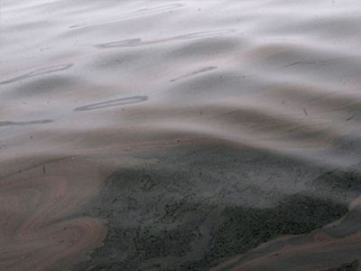 Θαλάσσια ρύπανση στον Φλοίσβο