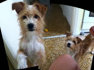 Χάθηκε ο Sammy