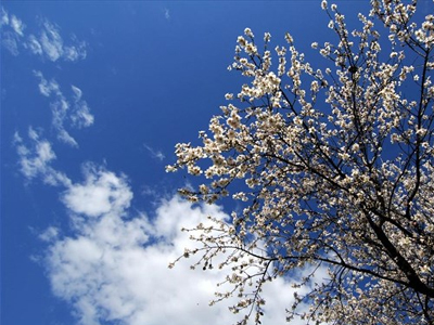 Ο καιρός σήμερα