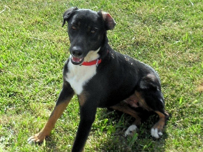 Χαρίζεται η Hope